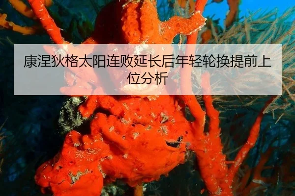 kang-nie-di-ge-tai-yang-lian-bai-yan-chang-hou-nian-qing-lun-huan-ti-qian-shang-wei-fen-xi-2-793.jpg